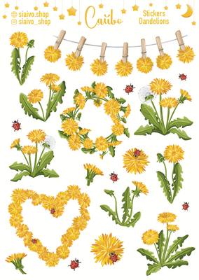 Dandelions 20155 фото
