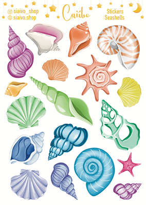 Seashells 20284 фото